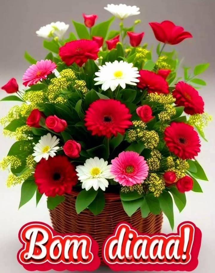 Ir Para